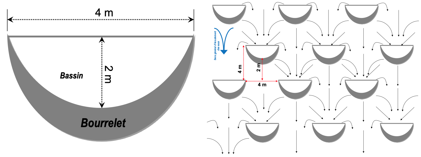 Dimensions de la demi-lune  &  Disposition en quinconce des demi-lunes.png