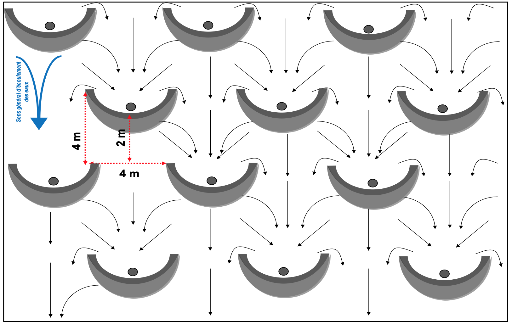 Disposition en quinconce des demi-lunes forestières (Sani M A G)2.png