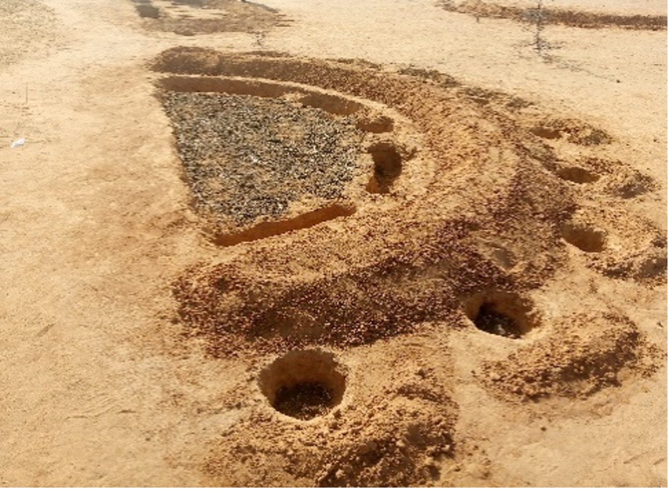 Image d’une demi-lune multifonctionnelle agrosylvopastorale à Tahoua (Photo PAM).jpg