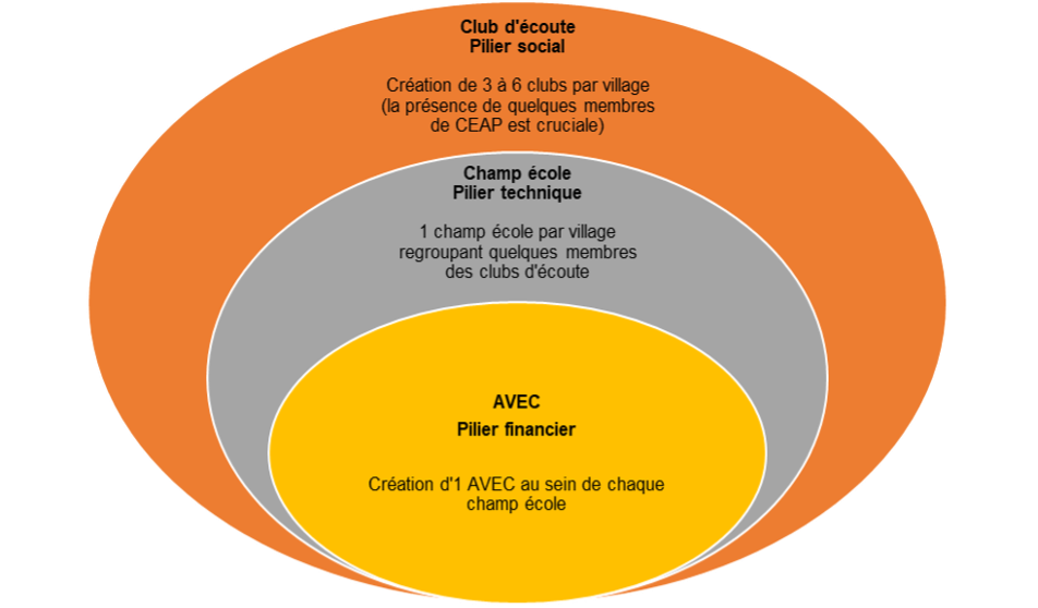 Caisse de résilience à partir de l’alliance Club d’écoute - Champ école – AVEC .png