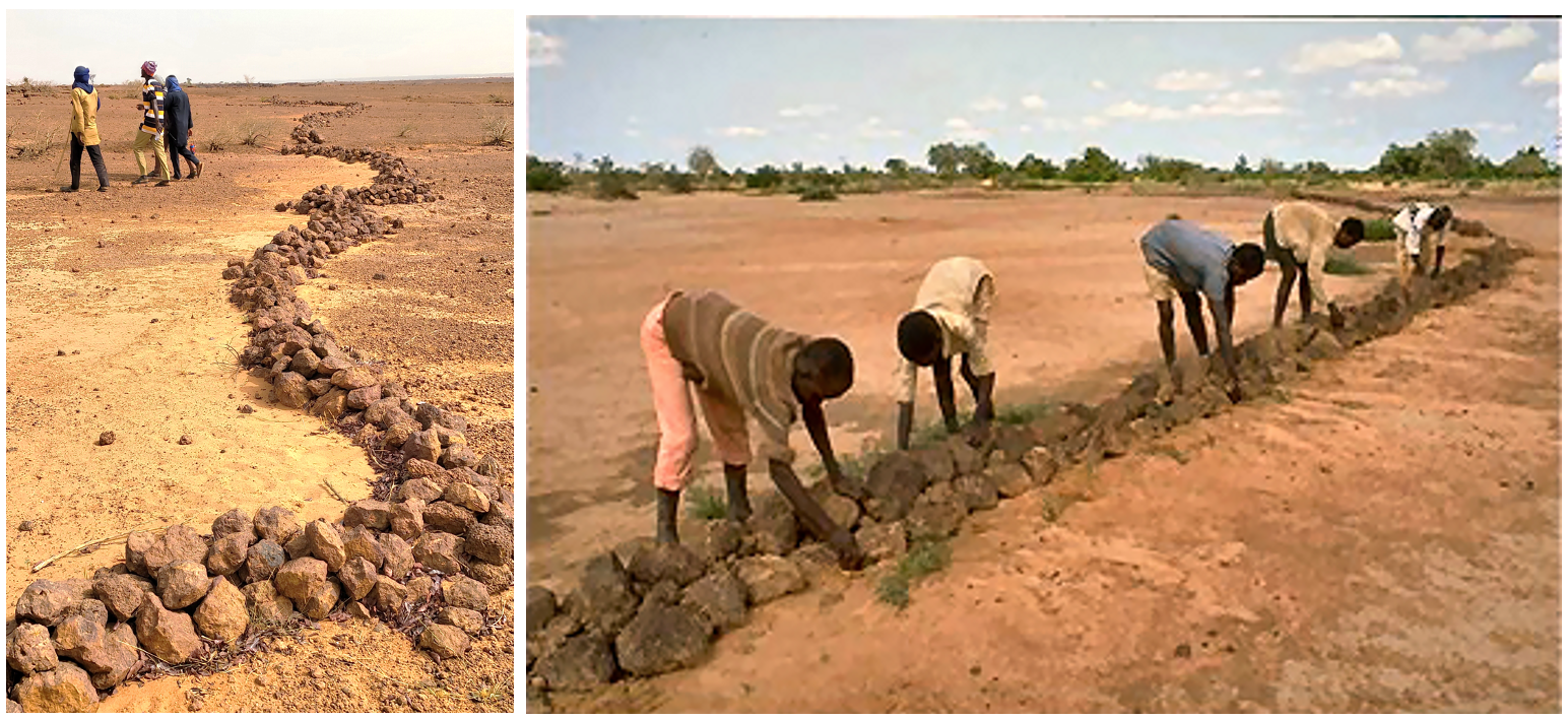 Image de lignes de cordon pierreux (Gauche à Youri dans la région de Tillabéri et droite dans la région de Tahoua).png