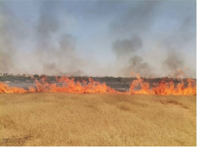 Envahissement d’un parcours par un feu de brousse dans la région de Tahoua (Photo - Actu-Niger).jpg