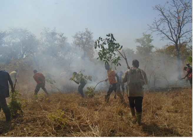 Mobilisation pour lutter contre un feu de brousse au Burkina Faso (Photo - PROJETS-REDD+).jpg