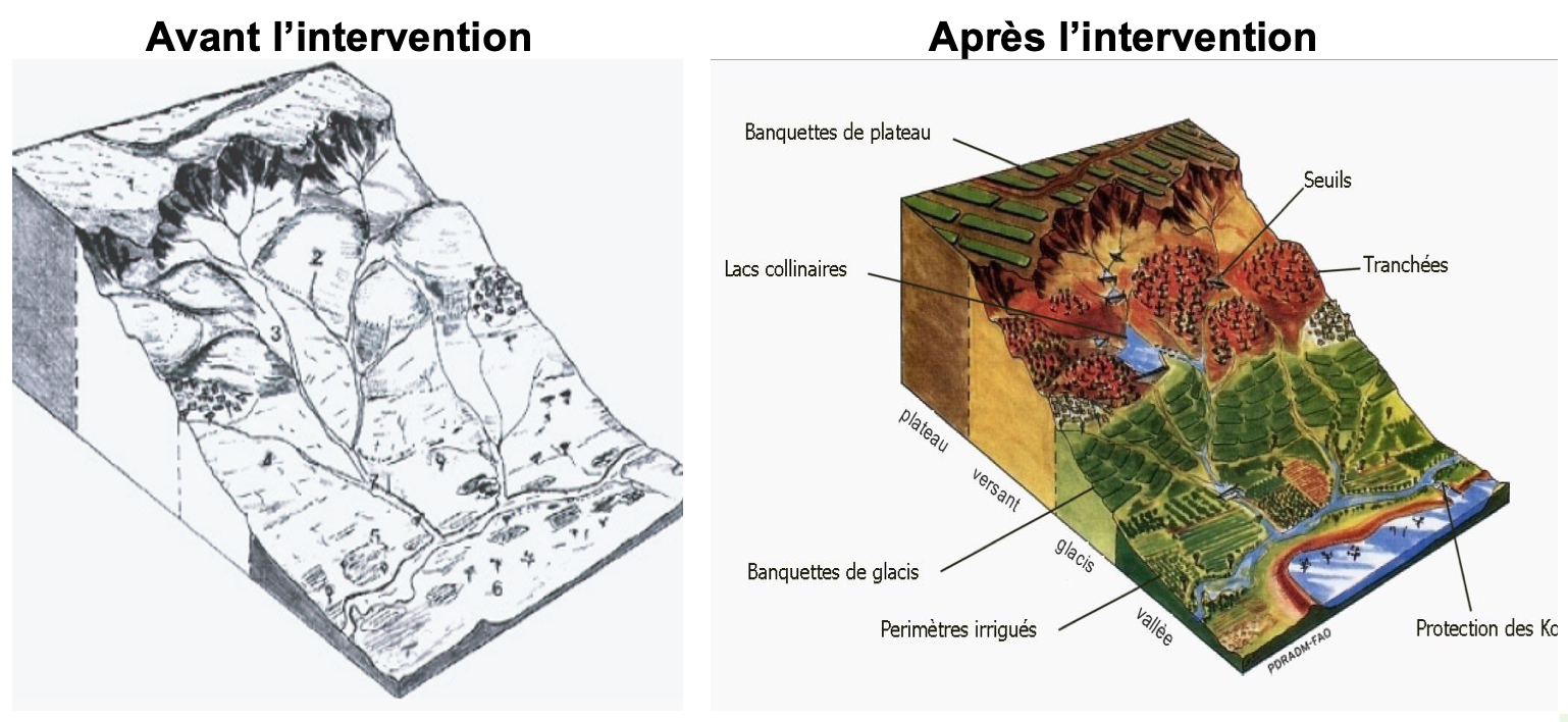 Changements observés sur la base  d’un plan d’aménagement de 10 ans (Source - Lakew et al. 2005).png