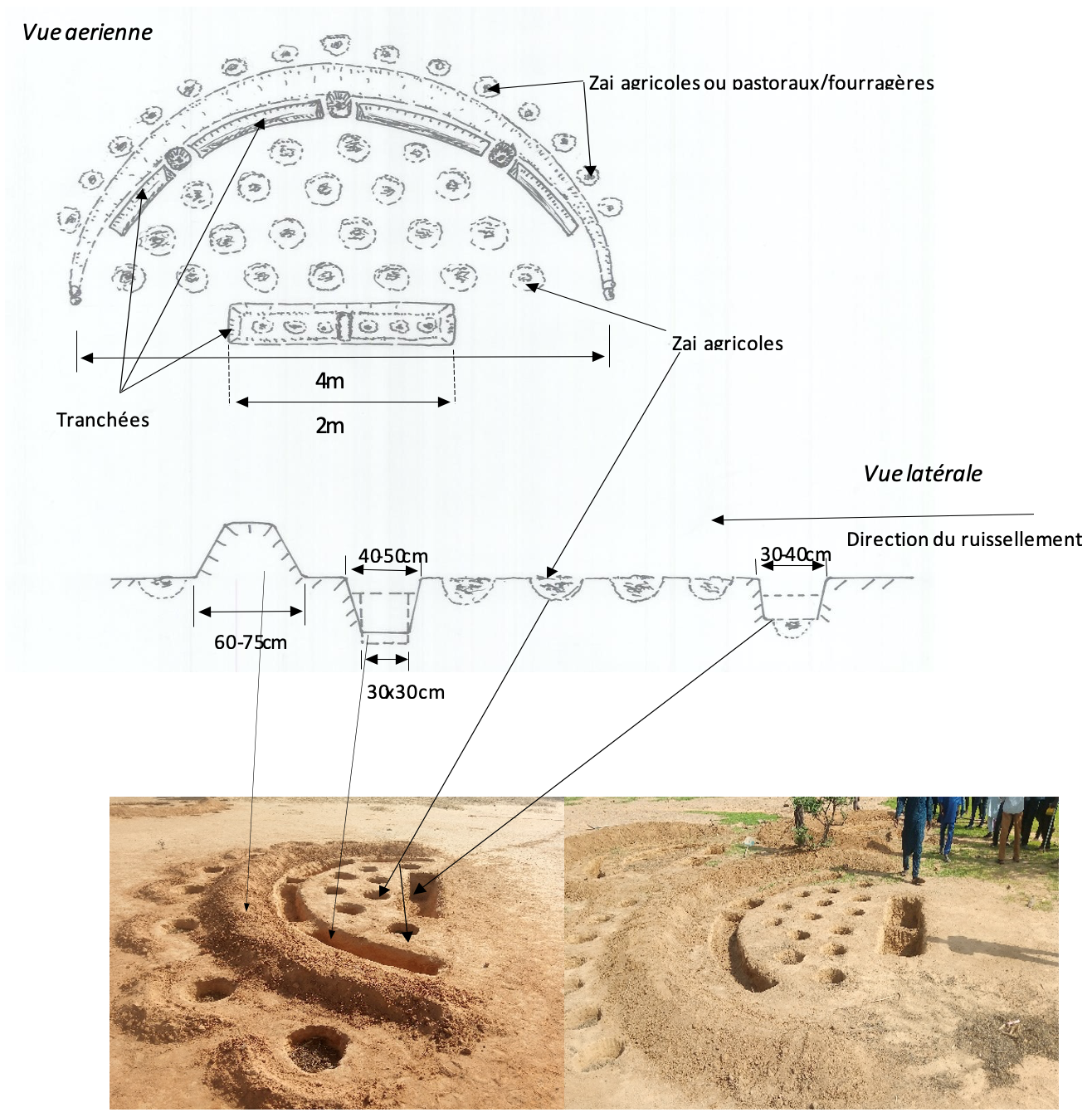 Illustrations en plan et en coupes des multifonctionnelle agricoles (photo PAM.png