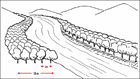 Berges fixées d’un cours d’eau (Source - MDA, 2006).png