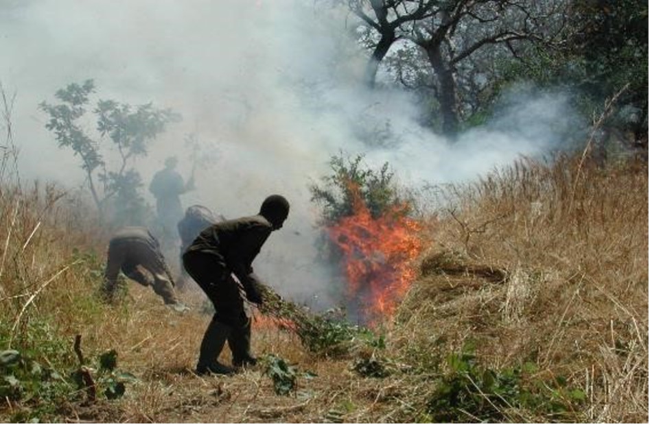 Un groupe de villageois en pleine opération d’extinction de feu (GRAD Consulting Group, 2011).jpg