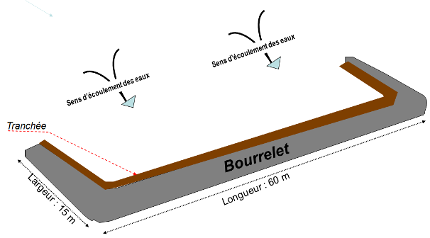 Schéma d’une banquette sylvo-pastorale (Illustration Dr Sani MAG).png