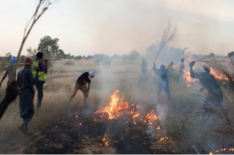 Mobilisation pour l’extinction d’un feu de brousse en Mauritanie (Source - UNHCR).jpg