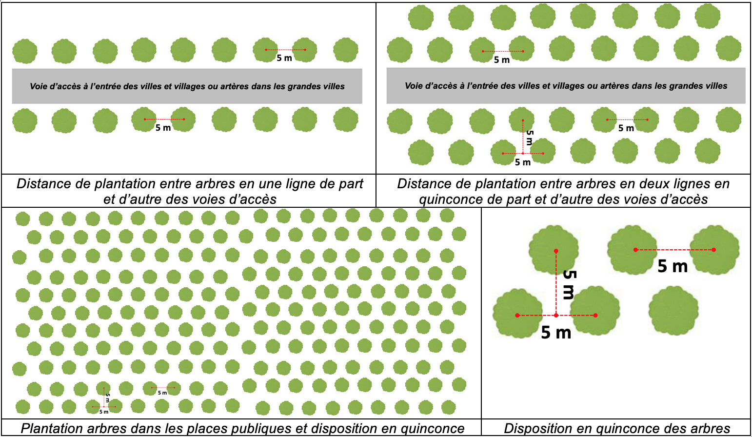 Illustration de la disposition des plants.png