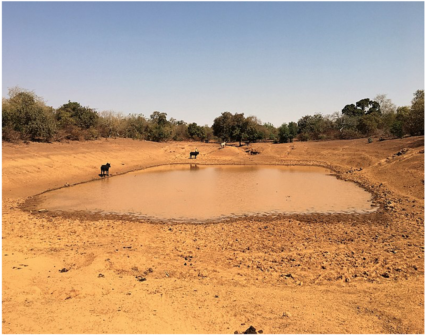 Bouli de Bogonam Mossi, Burkina Faso.png