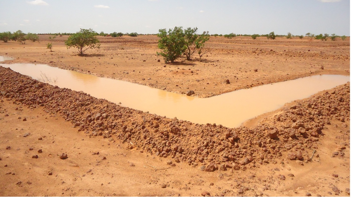 Image d’une banquette forestière remplie d’eau sur le site de Barakan (Ouallam) (photo Labo Yahaya).jpg