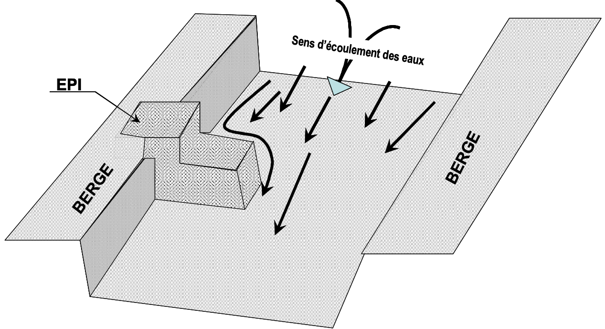 Vue de l’implantation d’un épi.png