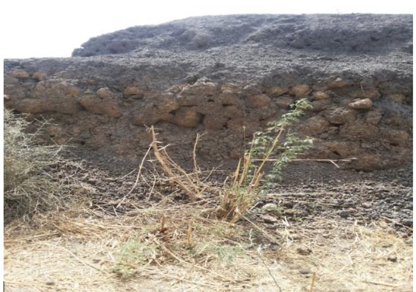 Noyau de pierres dans la digue de protection .png