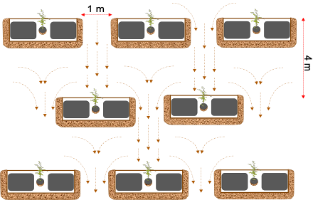 Illustration de la disposition des tranchées de reboisement (Dr Sani MAG).png