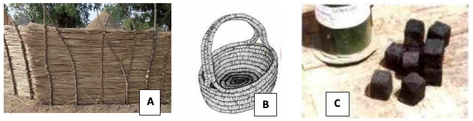 Vues de quelques produits émanant de la valorisation de la biomasse foliaire du Typha australis faucardé : (A) : Secco ; (B) : panier ; (C) : briquettes