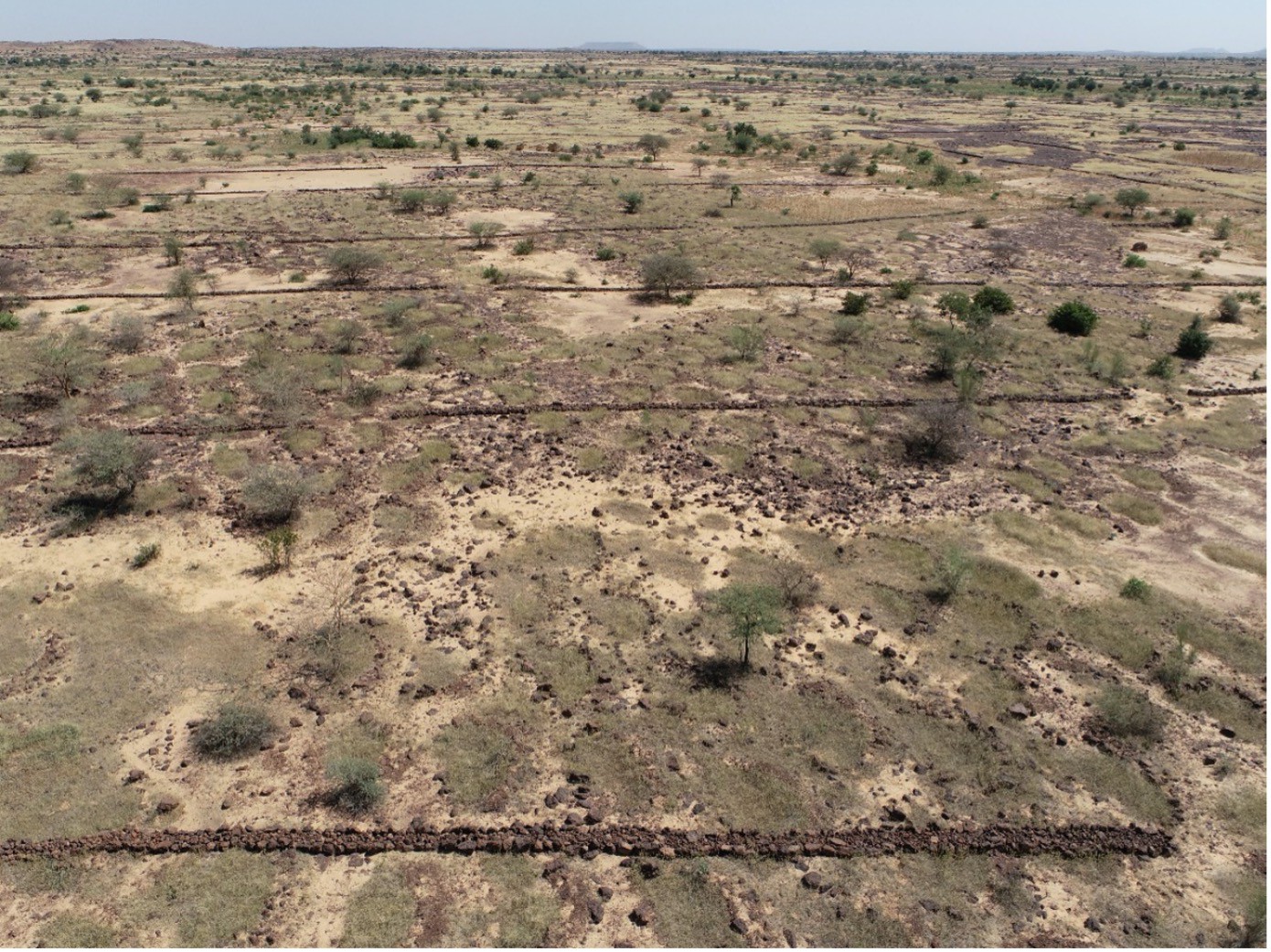 Cordon pierreux dans la région de Tahoua.jpg