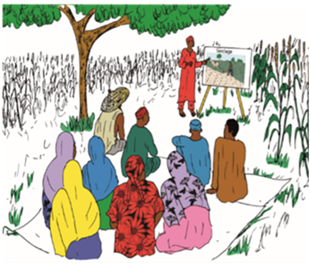 Séance de formation des apprenants (IARBIC, 2013).png