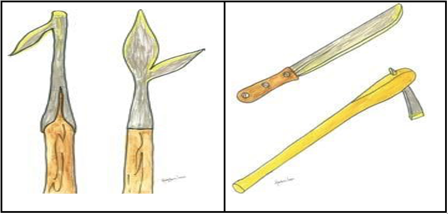 Outils de saignée (Projet GESFORCOM, 2011).png