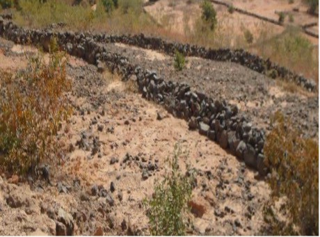 Muret en pierres dans le terroir de Tounga Akaye (Tahoua) (photo Mahamadou M H).jpg