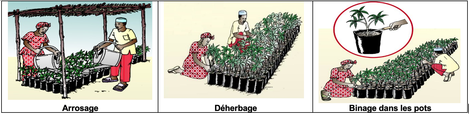 Arrosage - Déherbage - Binage dans les pots.png