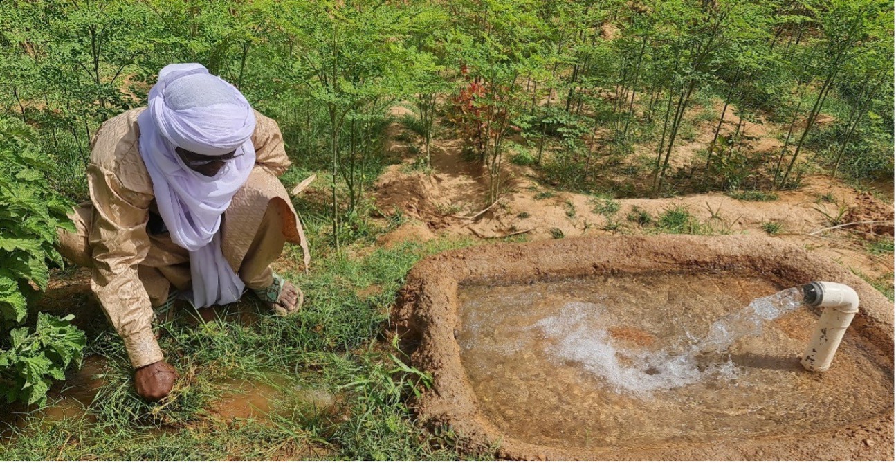 Exploitant de Moringa désherbant un canal d’irrigation de sa parcelle– Agadez (Photo Dr Sani Mamadou.jpg