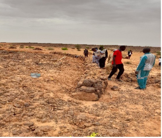 Réalisation de muret en pierres dans la région de Tahoua.jpg