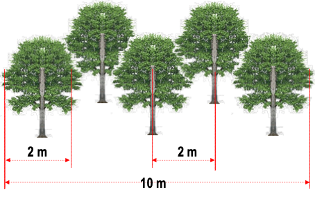 Illustration schématique des écartements des arbres en traitement biologique des berges  (Dr Sani Mamadou A.G).png