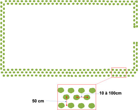 Disposition en quinconce des lignes de plantation de Haie vive à base d’Acacia (Illustration - Dr Sani M.A).png