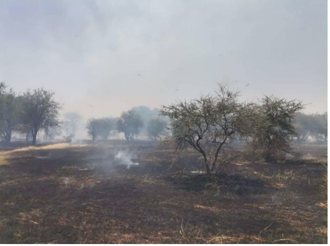 Vue de désastre causé par un feu de brousse dans la région de Tahoua (Photo - Actu-Niger).jpg