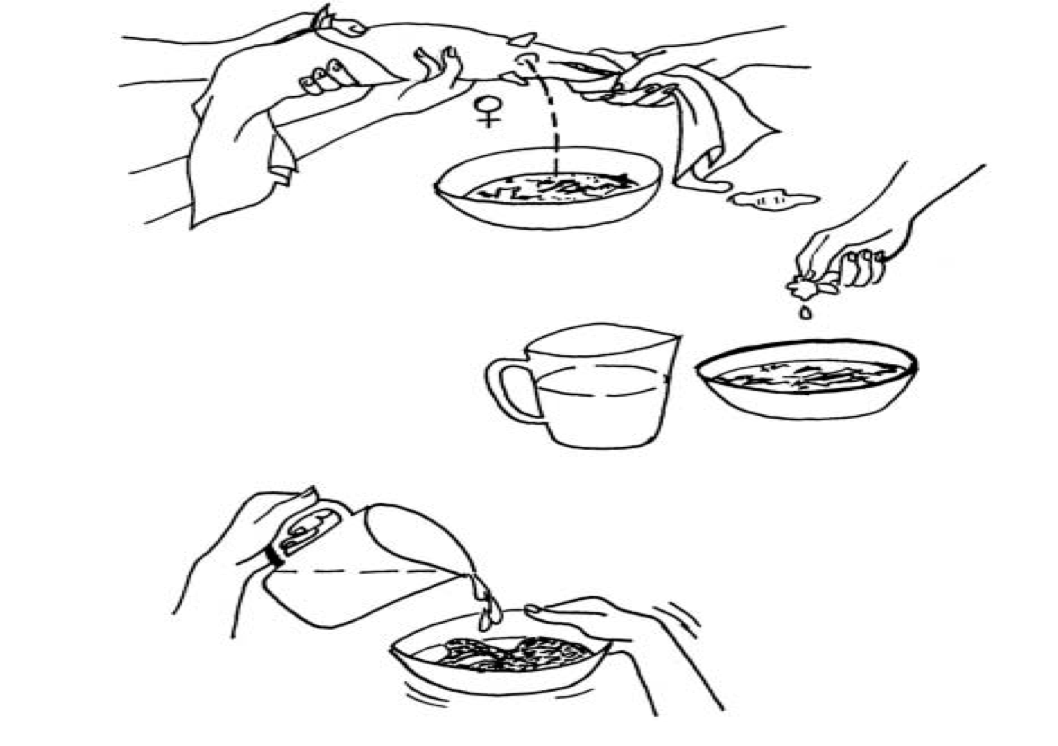 Illustration de l’extraction des œufs et de leur fécondation artificielle (Viveen et al,1985).png
